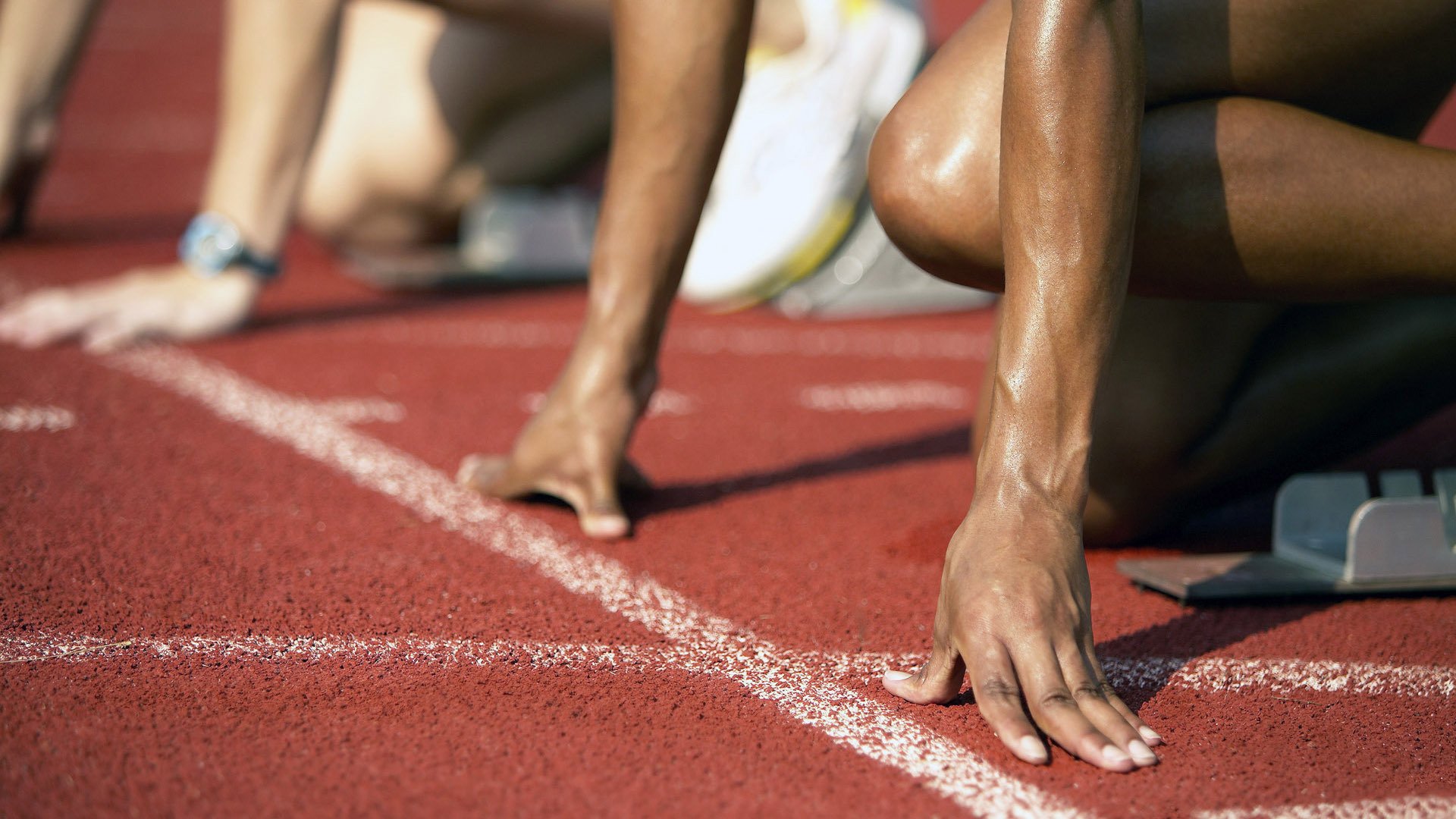 “2025世界游泳锦标赛:水上芭蕾展示别样优雅与力量”