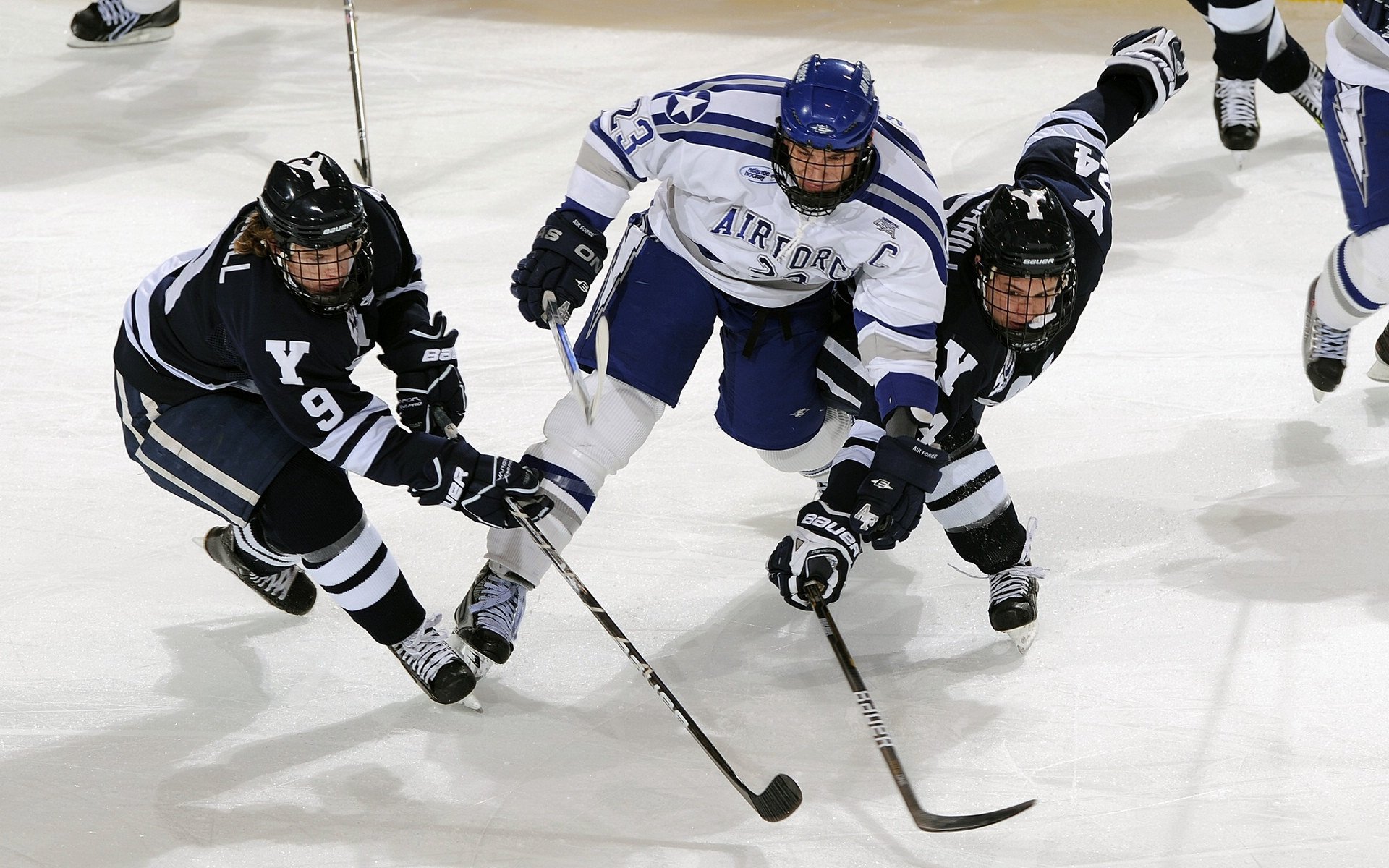 澳大利亚团队赛制分析：团体合作如何弥补个人弱点，澳大利亚队员